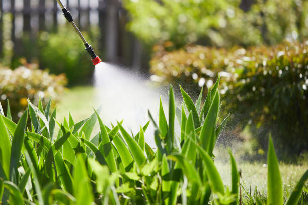 24/7 Emergency Mosquito Control experts in Bartow, FL