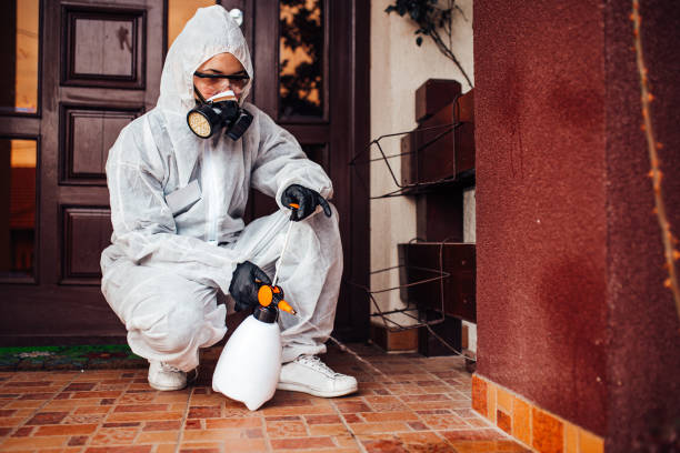Reliable Mosquito Control contractor in Bartow, FL by Show Me Pest Control